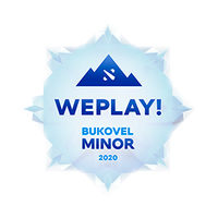 WePlay! Bukovel Minor 2020: что предлагает Parimatch?